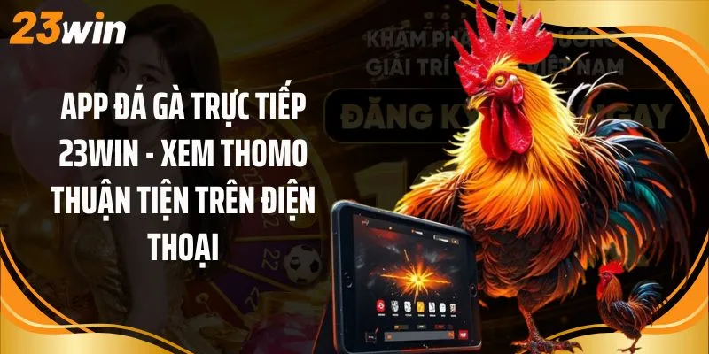 App Đá Gà Trực Tiếp 23Win - Xem Thomo Thuận Tiện Trên Điện Thoại