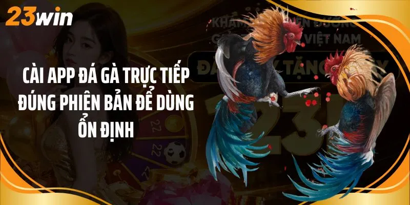 Cài app đá gà trực tiếp đúng phiên bản để dùng ổn định