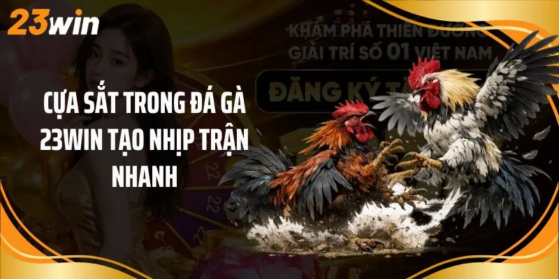 Cựa sắt trong đá gà 23Win tạo nhịp trận nhanh