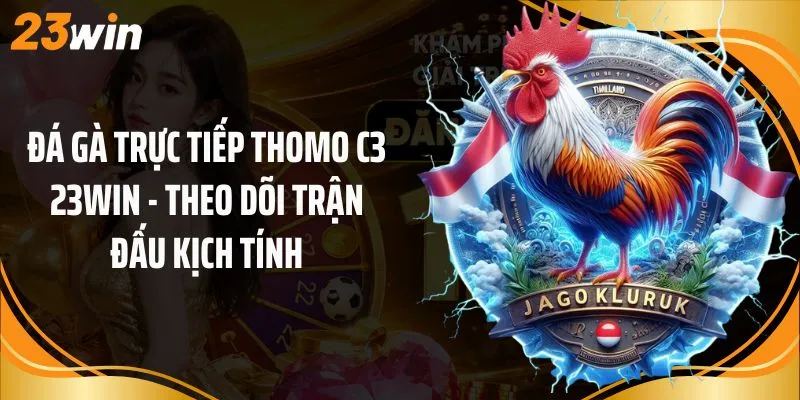 Đá Gà Trực Tiếp Thomo C3 23Win - Theo Dõi Trận Đấu Kịch Tính