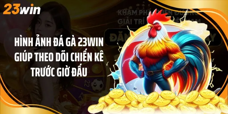 Hình ảnh đá gà 23Win giúp theo dõi chiến kê trước giờ đấu