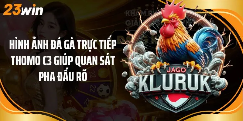Hình ảnh đá gà trực tiếp Thomo C3 giúp quan sát pha đấu rõ