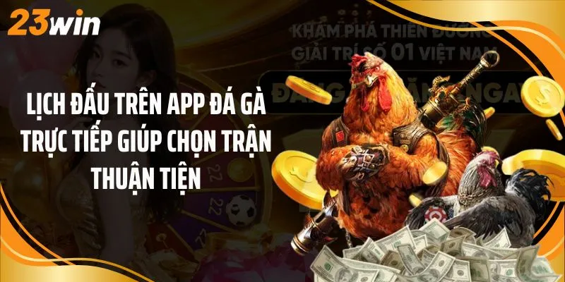 Lịch đấu trên app đá gà trực tiếp giúp chọn trận thuận tiện