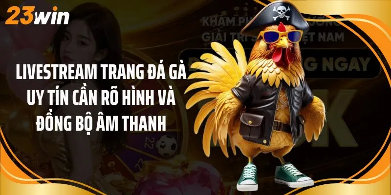 Livestream trang đá gà uy tín cần rõ hình và đồng bộ âm thanh