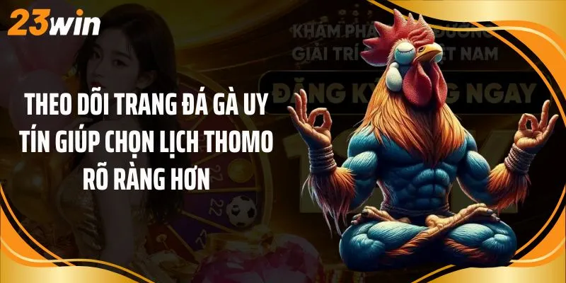 Theo dõi trang đá gà uy tín giúp chọn lịch Thomo rõ ràng hơn