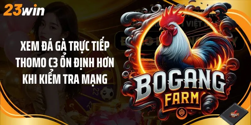 Xem đá gà trực tiếp Thomo C3 ổn định hơn khi kiểm tra mạng
